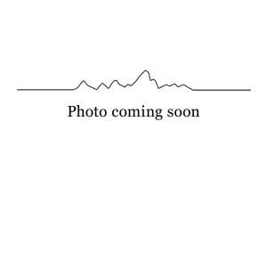 Patagonia - Men's Alpine Guide Pants - Short