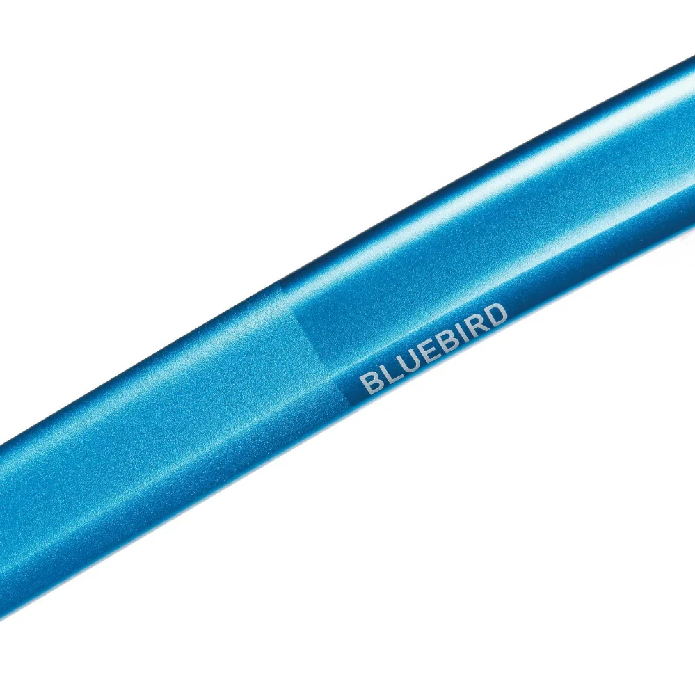 BLUE ICE - Bluebird - immagine 7